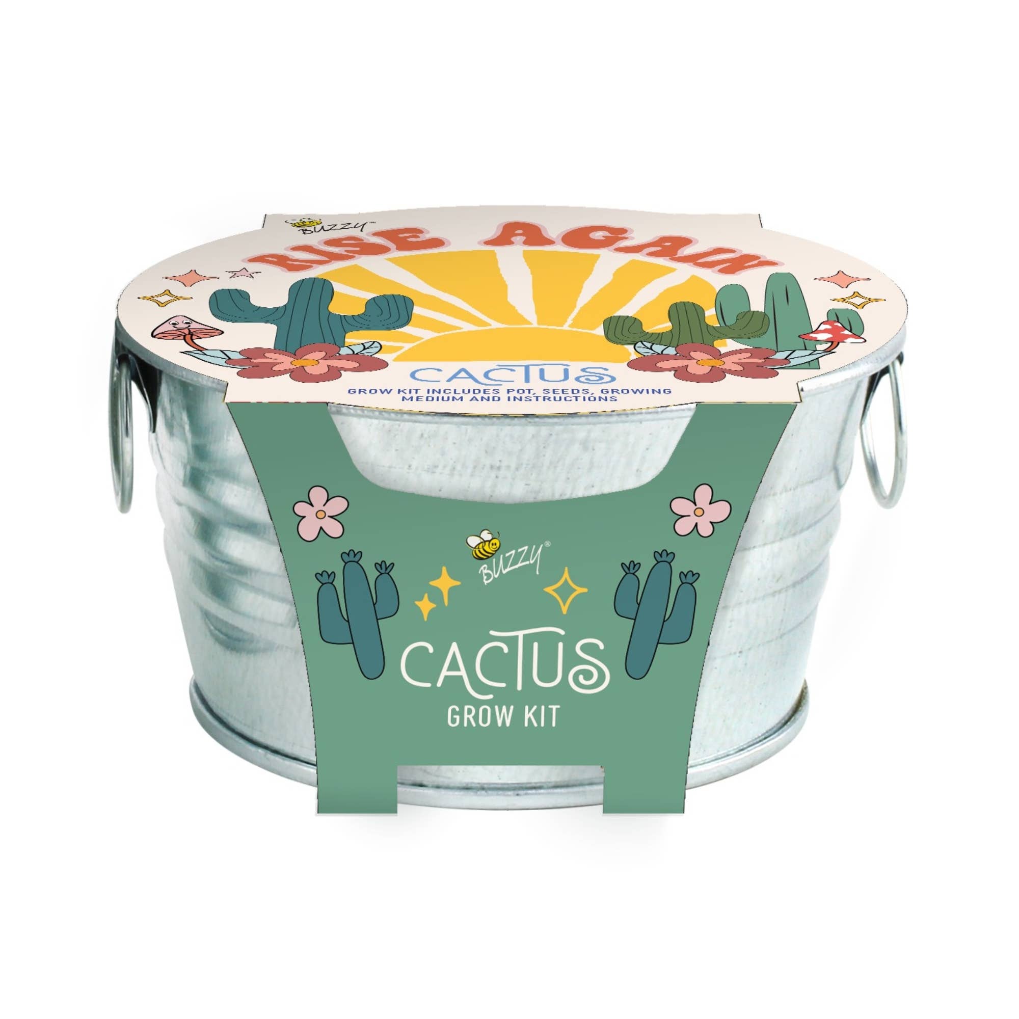 Mini Galvanized Basin Cactus Grow Kit – Indoor Plant Gift - Diament
