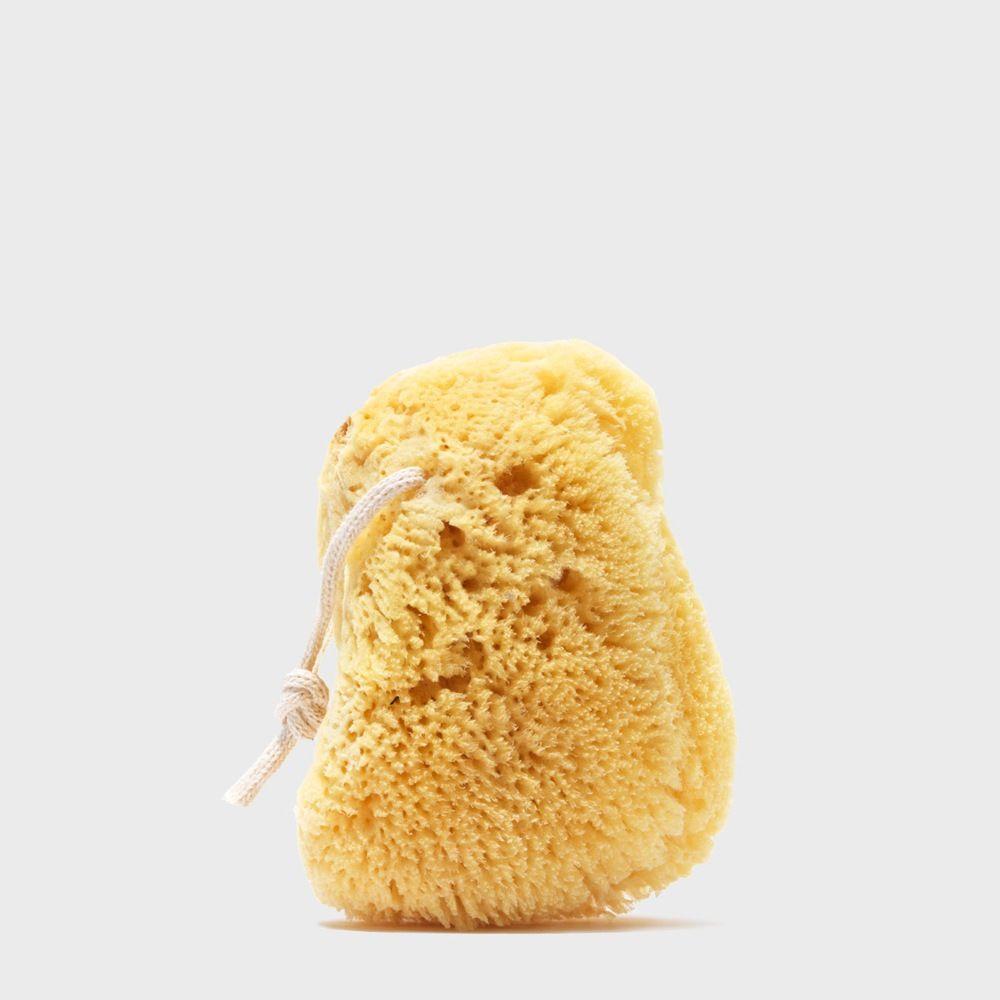 Natural Sea Sponge from Diament Jewelry, a gift shop in Washington D.C